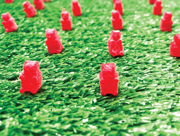 Strawberry Gummy Bears Making Kit